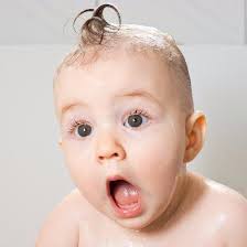 Notify Me • May Member News from Green Ridge