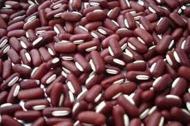 Image result for Vigna umbellata