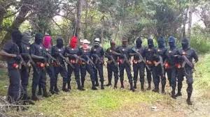 A resident of awka, mrs ngozi nwosu, told the news agency of nigeria (nan) on monday that she decided to stay at home in order. Ipob Cameroonian Separatists To Exchange Weapons Personnel Report