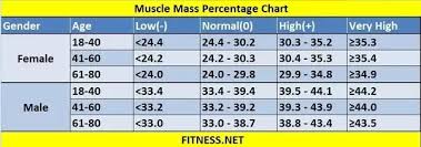 what should be the muscle mass and fat mass in a healthy