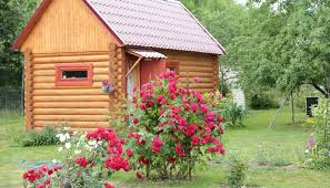 Denn man muss nicht die gießkanne im haus füllen und in den garten schleppen. Gartensauna Selber Bauen Der Gunstige Weg Zur Sauna Im Grunen Gartenhaus Aufbau