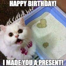 Happy Birthday Cat Meme 20 Best Funny Cat Birthday Meme Happy Birthday Cat Cat Birthday Memes Cat Birthday