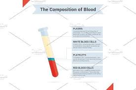 Pin On Top Educational Infographics