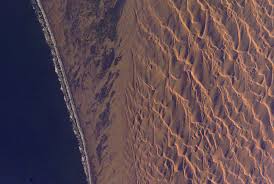 Cob, steenbra, galjoen, blacktail are always caught and are always present throughout the year. Dune Patterns Namib Desert Namibia