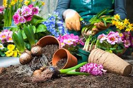 Bepflanzen sie ihre balkonkästen und. Blumenbeet Im Fruhling So Wird Ihr Garten Ein Hingucker