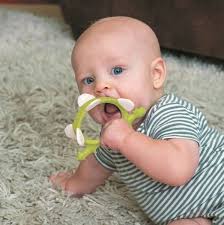 Smily Mia Gryzak Dinozaur Norman Curry Curry 49544