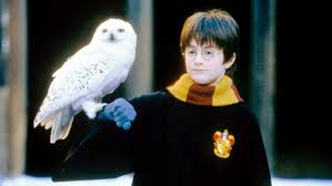 Image result for harry potter