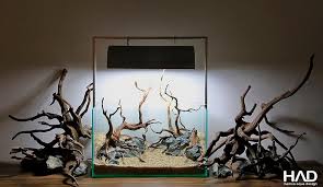 Pin De Stephanus Mardianto Em Aquascape