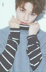 530 Stray Kids ideas