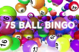 Bingo At Home App Points 75 Ball Bingo Best Tactics To Play And Win At Bingo Online