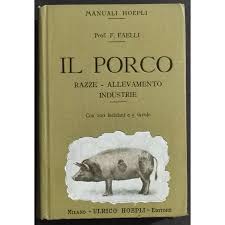 Risultati immagini per porco