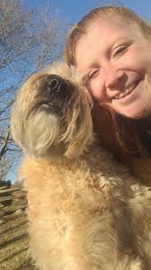 Saying goodbye to Finn has completely broken my heart. 🌈💔, For the last 4  years, I had the absolute honour of walking and loving