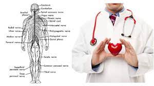 Definisi/arti kata 'urat' di kamus besar bahasa indonesia (kbbi) adalah n 1 bagian dalam tubuh yang menyerupai benang atau tali; Melaka Urat Saraf Dan Bekam Photos Facebook