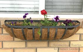 Don't forget that if your window box is going to include edible plants, you need to use organic flowers and vegetable seeds. Best Plants For Window Boxes Western Garden Centers