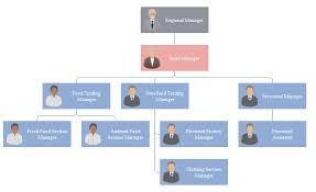 Tesco Company Organisational Structure Chart Example Org
