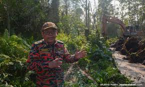 80 hectares of Kuala Langat forest reserve