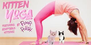 See more ideas about arizona travel, tucson arizona, arizona. Tucson Yoga Tai Chi Meditation Entertainment Tucson Com