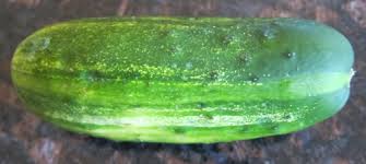 Aug 15, 2016 · if preserving for longer, after infusing with fresh herbs and garlic ( i just leave everything in the bowl, in the fridge overnight ) remove any fresh ingredients ( like herbs and raw garlic). How To Store Cucumbers To Keep Them Fresh Longer Melanie Cooks