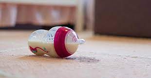 How To Clean Spilled Milk On Carpet & Fabric | Molly Maid