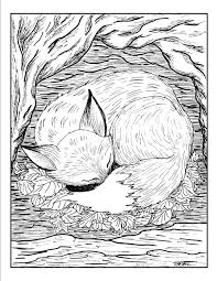 We have collected 36+ realistic fox coloring page images of various designs for you to color. Pin On Crafts