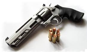 Pin On Guns