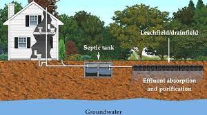 A properly installed field that is well maintained will last for decades. The Myth Of Rid X Why Not To Use Additives In Septic Systems