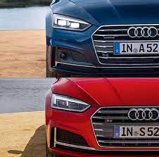 how to make an interesting art piece using tree branches ehow