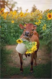 See more ideas about green aesthetic, aesthetic, green. Cow Wallpaper Aesthetic Green Novocom Top