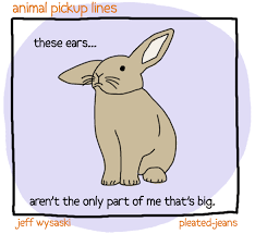 And even if they don't work, they're entertaining anyway. I Would Date That Ostrich So Hard Album On Imgur