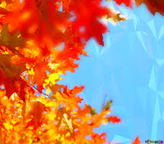 Discover savings on leaves backdrop & more. Download Free Picture Autumn Leaves Blue Sky Polygonal Abstract Geometrical Background With Triangles On Cc By License Free Image Stock Torange Biz Fx 201091