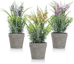 Wholesale potted flowers near me. The Best Online Store Offer T4u Artificial Lavender Potted Plant 3pcs Fake Flowers In Pot Faux Plastic Plants For Wedding Bridle Indoor Home Kitchen Office Table Centerpieces Arrangements Wedding Decor Kitchen Dining