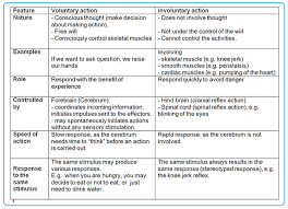 Voluntary Involuntary Actions Biology Notes For Igcse 2014