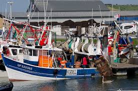 2014 09 12 028 Normandie Le Treport Le Port Le Port Boat Coastal