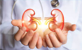 A doctor may suspect that you have kidney cancer from the symptoms and signs listed above and then arrange tests to confirm the diagnosis. 7 Signs Of Kidney Cancer You Should Know About Medanta