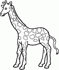 Choose the coloring page of the giraffe you want to paint, print and paint for. Giraffe Coloring Pages For Kids Coloring Home
