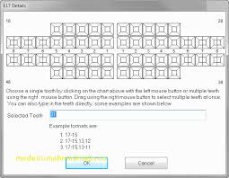 Punctual Dental Chart Template Word Picture Of Teeth Chart