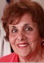 Amazon.com: STEM Through the Months