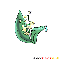 If you find any inappropriate image content on pngkey.com, please contact us and we will take appropriate action. 133 Fiori Clipart Immagini Grafica Gratis Gif Png Jpg
