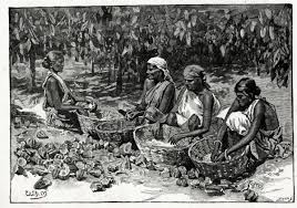 Fry's Cocoa and Chocolate, Sri Lanka ...