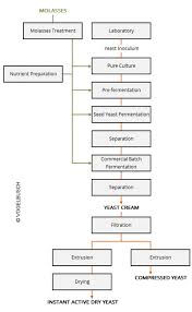 Bakers Yeast Plants Vogelbusch Biocommodities