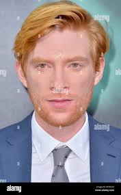 Bill weasley hi-res stock photography and images