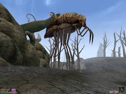 Image result for Silt Strider