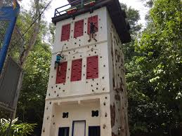 Top things to do in batu ferringhi. The Best Things To Do In Penang With Kids 5 Lost Together
