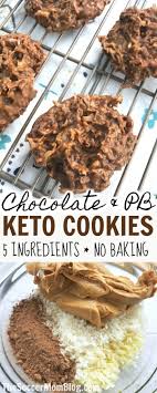 Keto No Bake Cookies The Best Easy Low Carb Cookie Recipe Keto Recipes Easy Keto Snacks Real Food Recipes