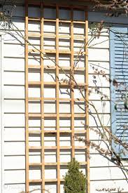 Installing A Trellis For Climbing Roses Onto Your House Diy Trellis Climbing Roses Diy Garden Trellis
