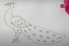 Original watercolor painting on acid free paper. How To Draw A Peacock Easy Step By Step For Beginners