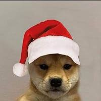 Possessive Series 8: Shun Kim by C.C.