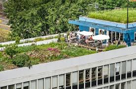 Pourquoi imperméabiliser votre terrasse en béton ? Etancheite De Terrasse En Beton Prix Et Comment Faire