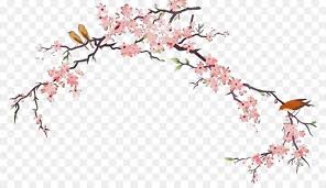I also made instructions on how to draw the cherry blossoms in marker, to make it easier to do the second set of instructions. Cherry Blossom Tree Drawing Png Download 1400 788 Free Transparent Watercolor Png Download Cleanpng Kisspng