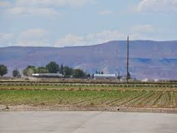 Appetite For Idaho: Wilder Welcomes You